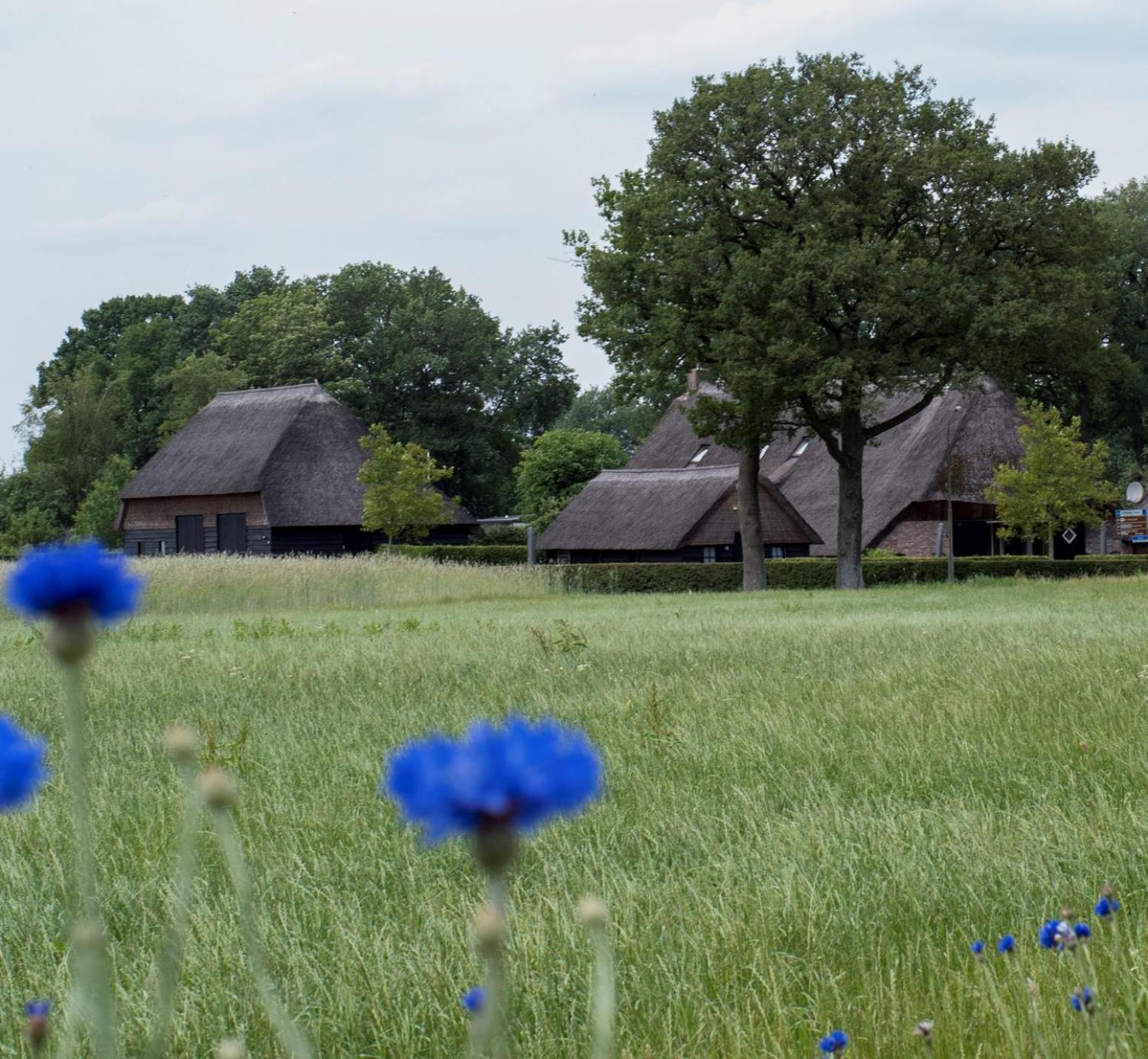 Gastenverblijf Lheederhof Lodge 3 Dwingeloo Eksteriør billede