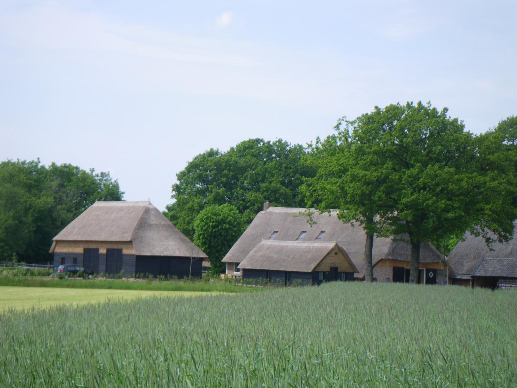 Gastenverblijf Lheederhof Lodge 3 Dwingeloo Eksteriør billede